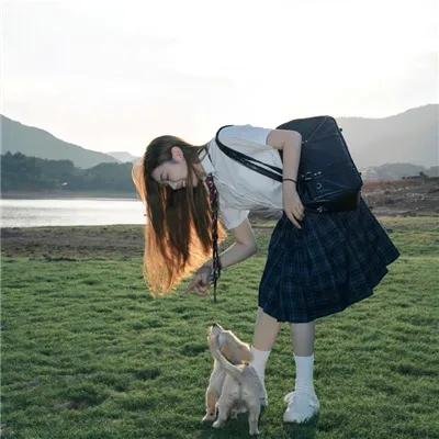 大唐女巡按